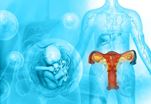 Урология и аномалии развития мочеполовой системы: вызовы и методы лечения